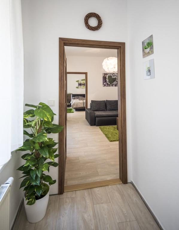 Apartman Dolni Namesti أولوموك المظهر الخارجي الصورة