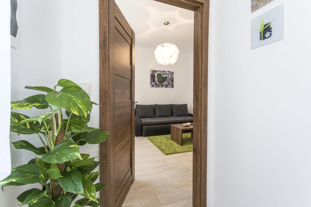 Apartman Dolni Namesti أولوموك المظهر الخارجي الصورة